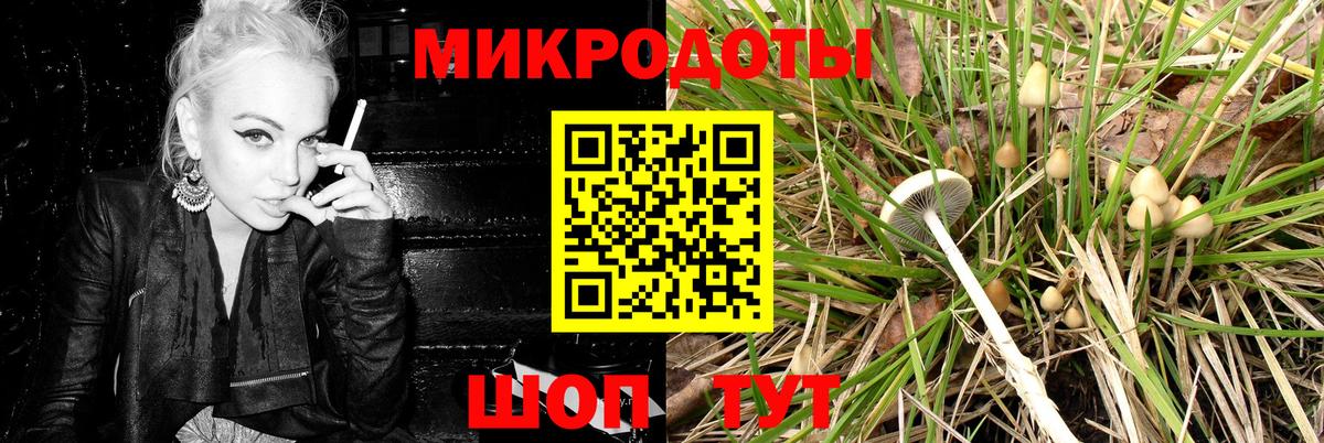 Тавда  Галлюциногенные грибы MAGIC MUSHROOMS  Вход с VPN 