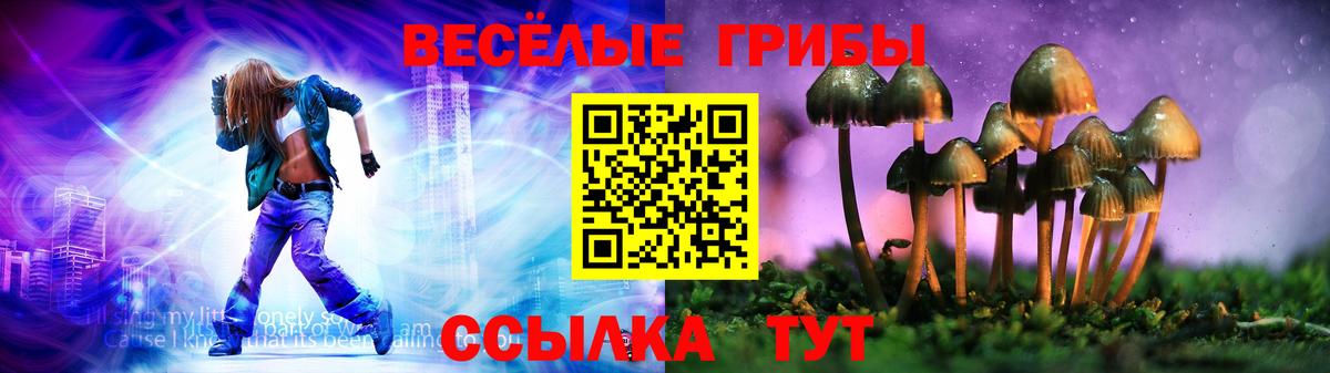 Галлюциногенные грибы Cubensis Тавда